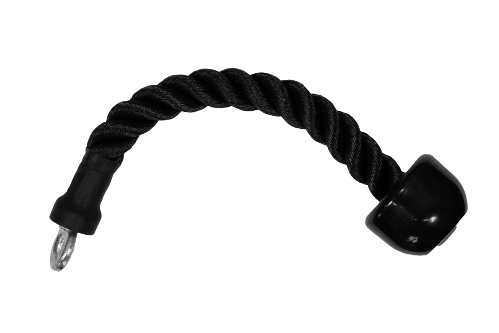 ev ac gh 070 evolve single rope ml.png ev ac gh 070 evolve single rope ml.png