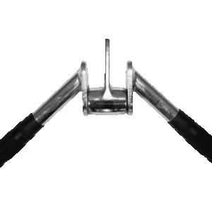 ev ac gh 150 evolve triceps bar 1 ml.png