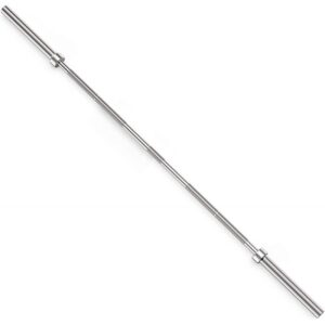 langhantelstange olympiastange evolve ev ob hs 220 ml.jpg